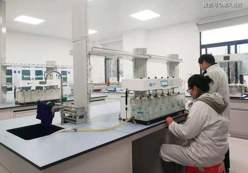 喜訊！真奧研究院新鮮螺旋藻功能性食品成功中試，引領(lǐng)醫(yī)學(xué)研究與試驗發(fā)展新方向